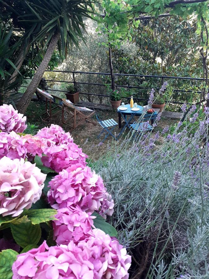 B&B I Glicini Vescina Exteriér fotografie