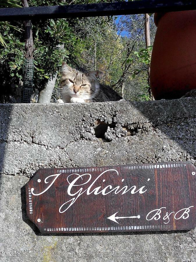 B&B I Glicini Vescina Exteriér fotografie