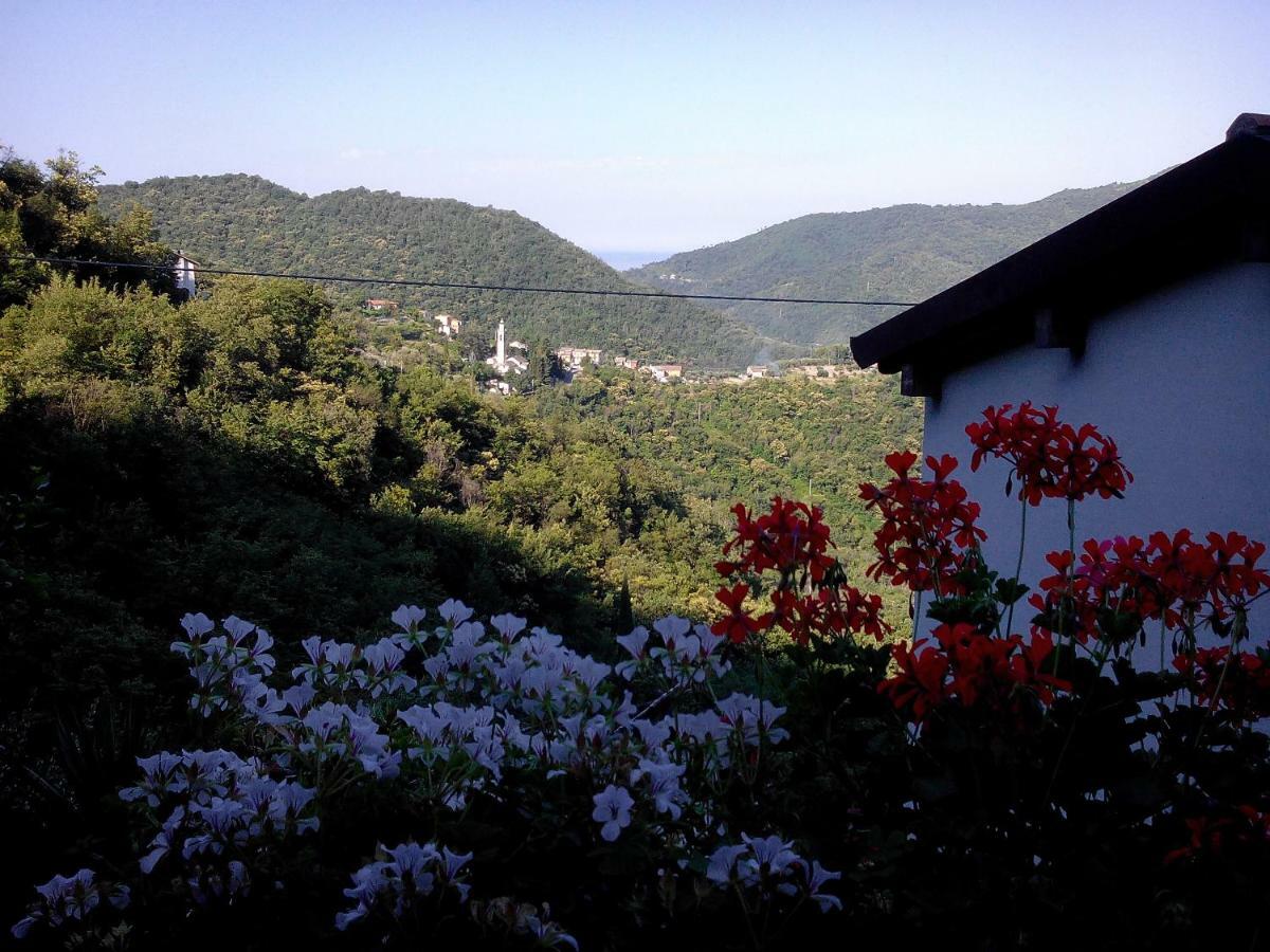 B&B I Glicini Vescina Exteriér fotografie